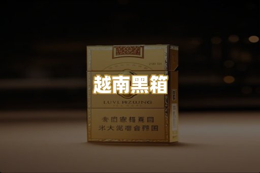越南黑箱